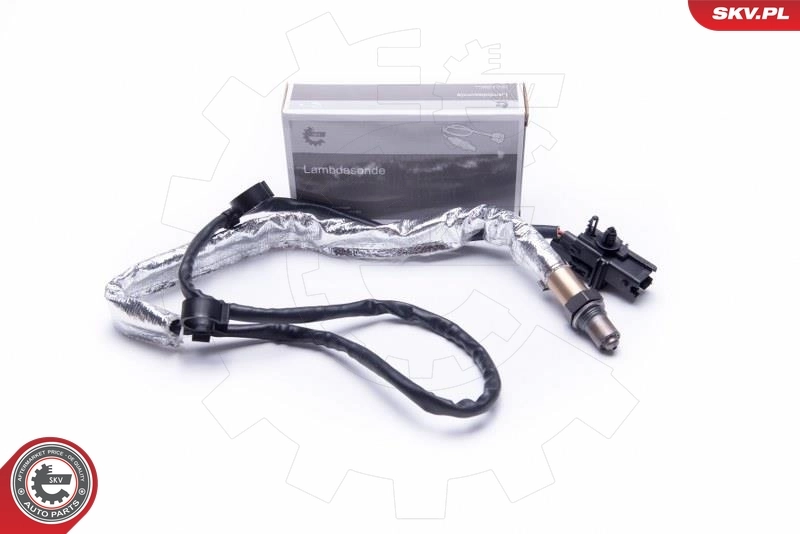 Oxygen Sensor